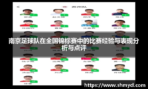 南京足球队在全国锦标赛中的比赛经验与表现分析与点评